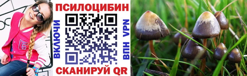 Купить где  Ивдель  Галлюциногенные грибы MAGIC MUSHROOMS 